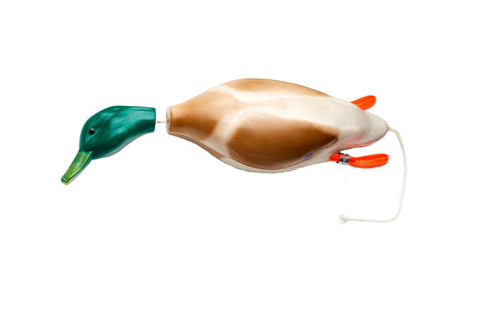 Dokken’s vogel dummies