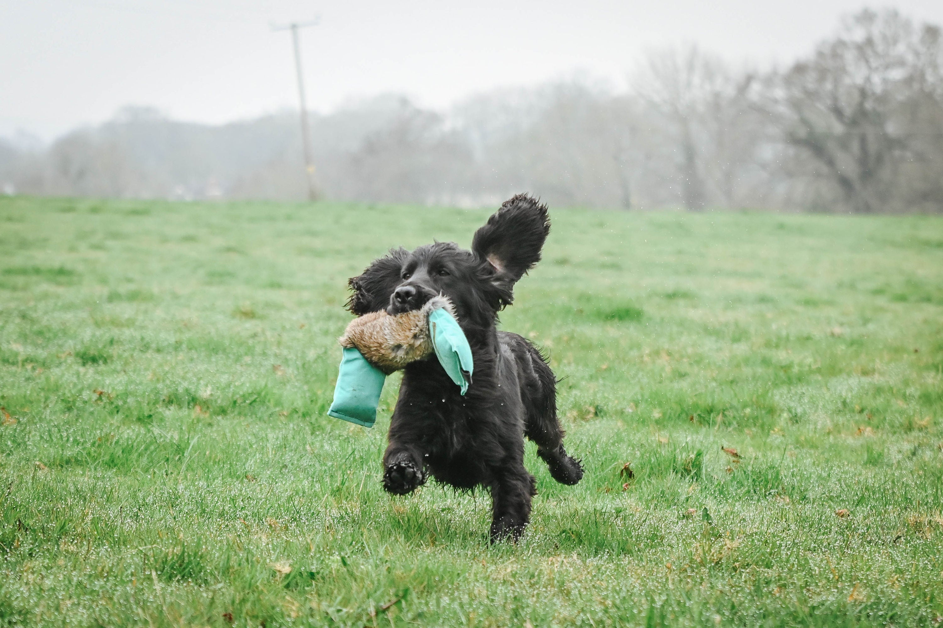 3-delige dummy met konijnenvel