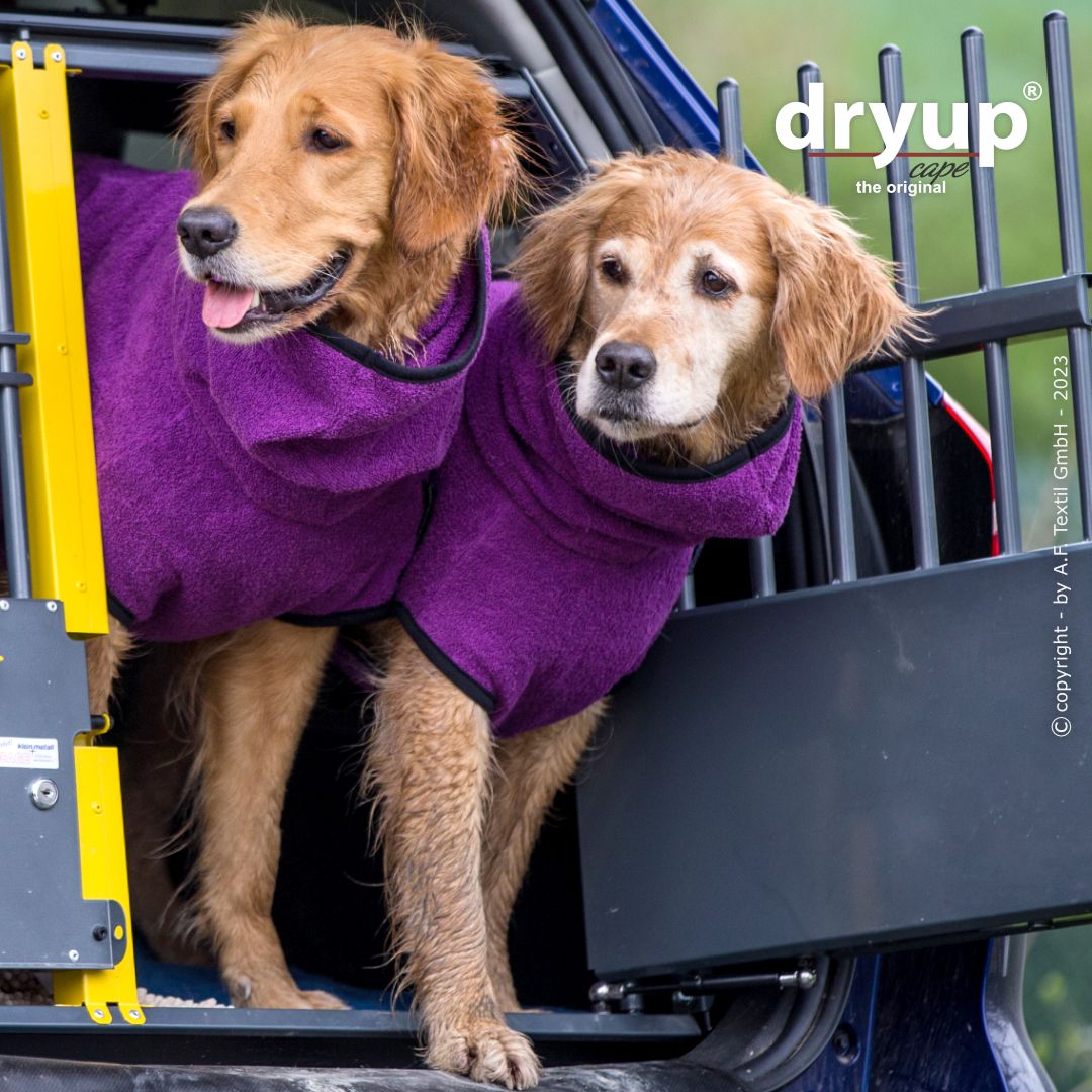 Dryup cape - Bilberry paars