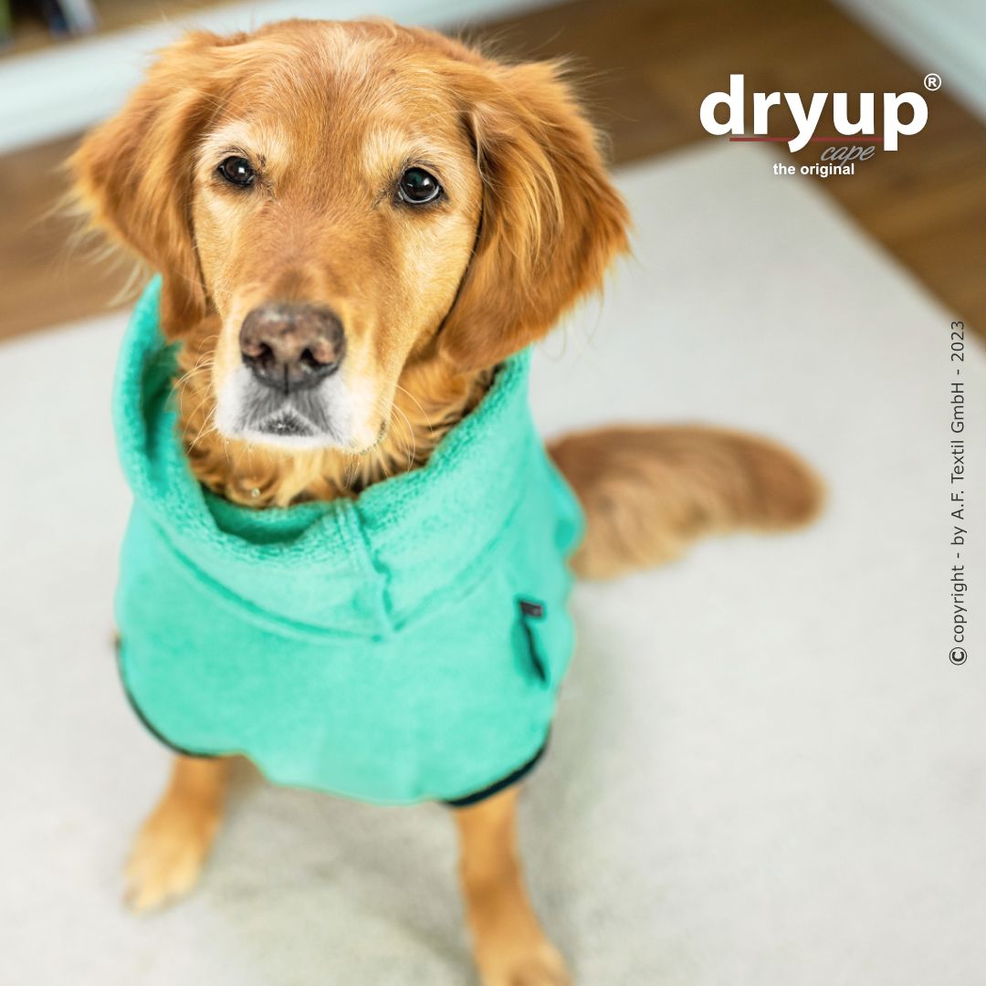 Dryup cape - Mint