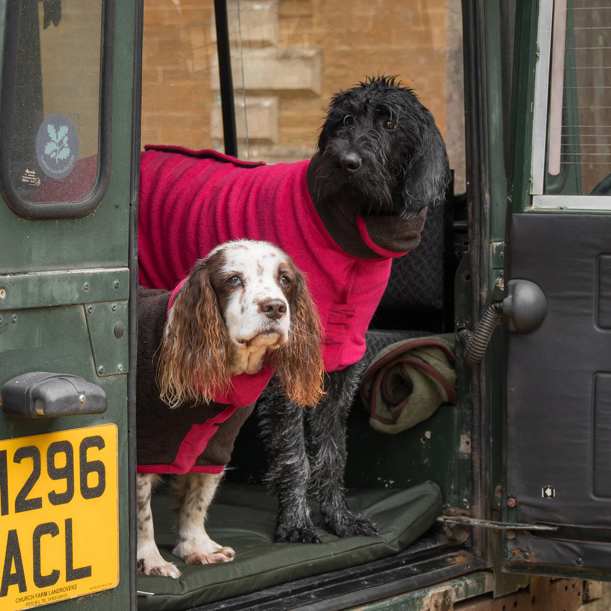 Dog drying coat Raspberry and Dark Chocolate