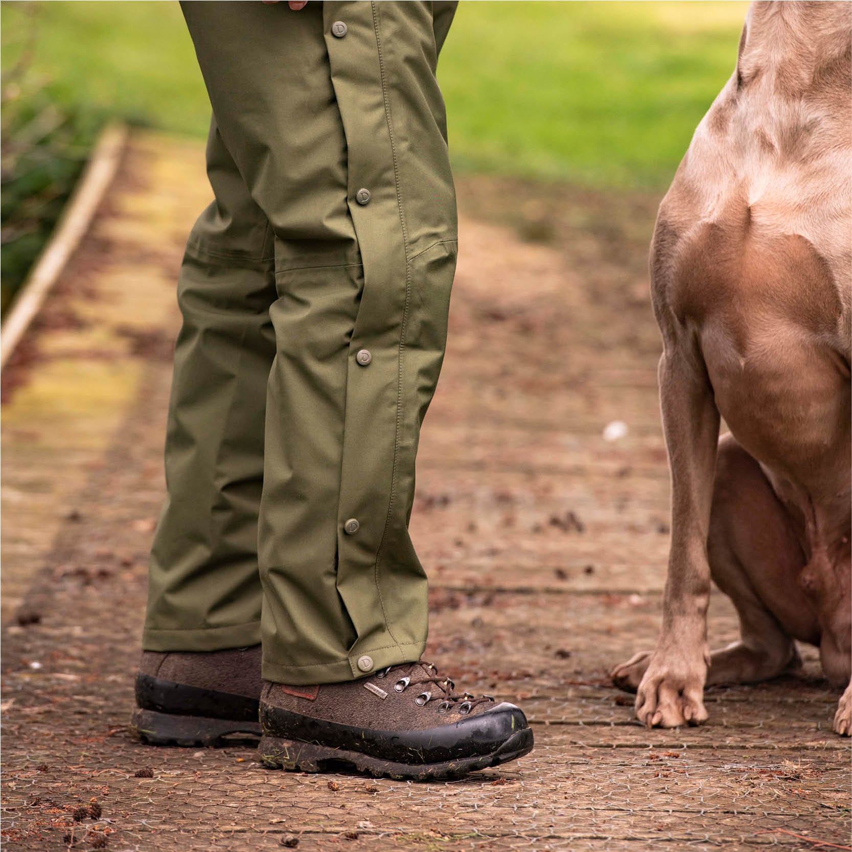 Dedito regenbroek groen