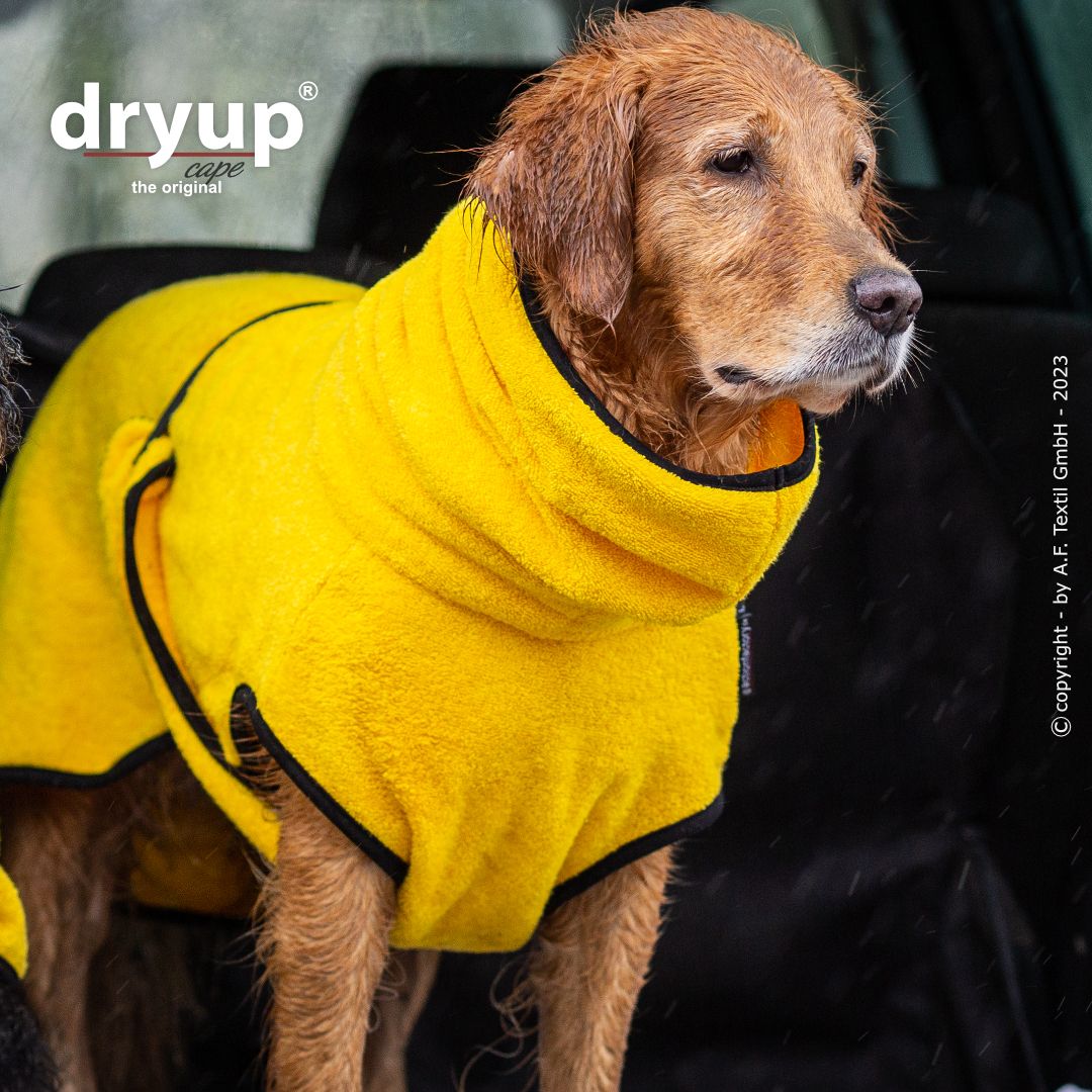 Dryup cape - Geel