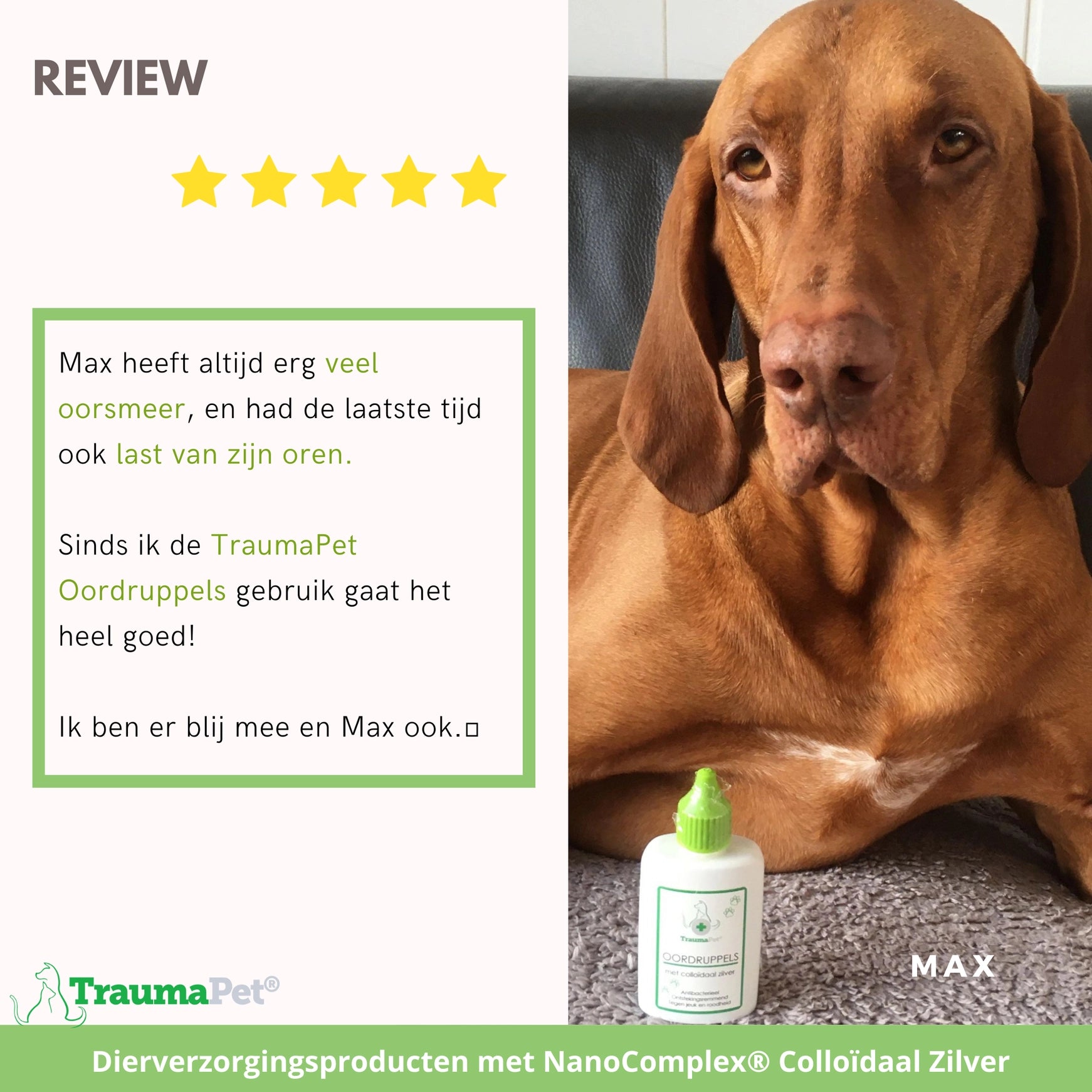 Oordruppels met colloïdaal zilver voor dieren