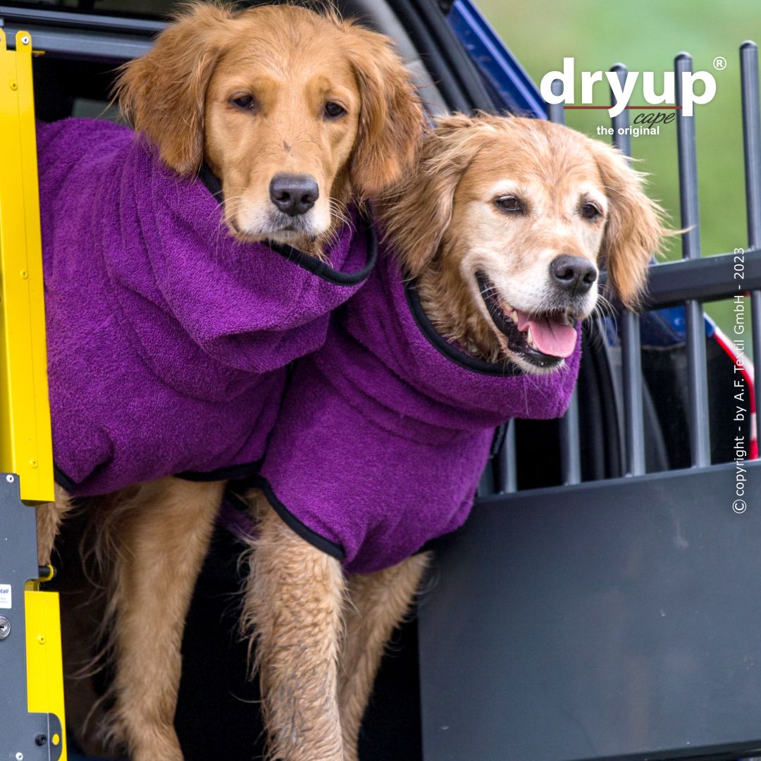 Dryup cape - Bilberry paars