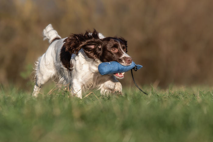 Flinger Marking Dummy 250 gram