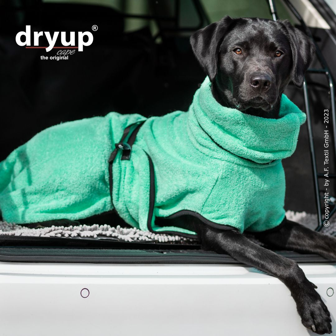 Dryup cape - Mint