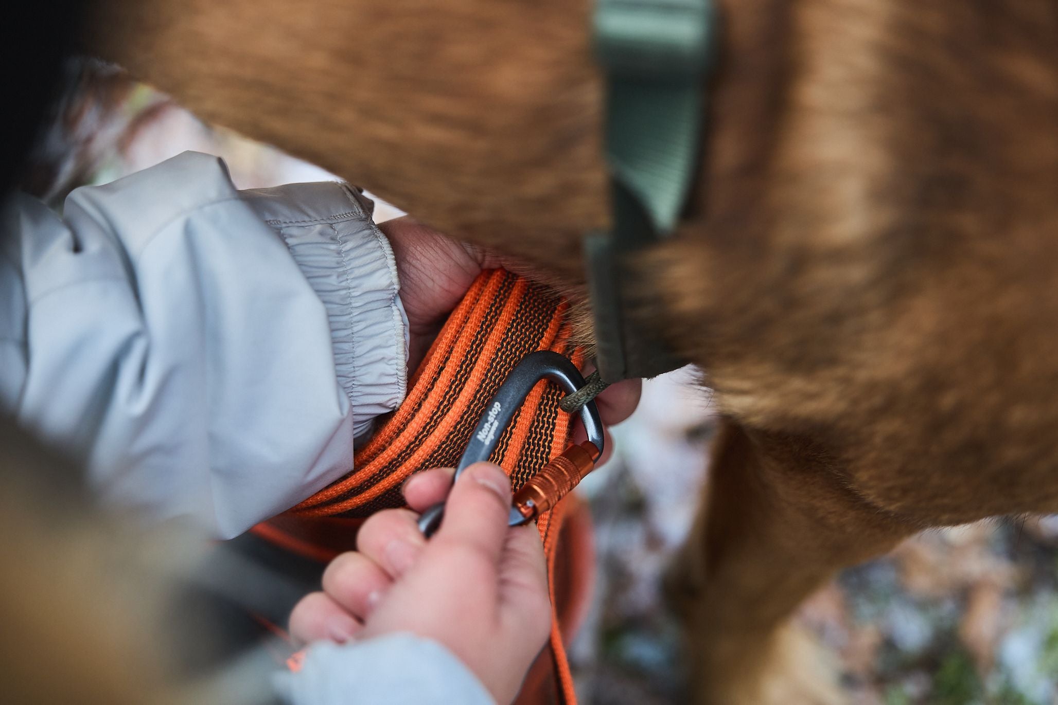 Lange lijn 10/15 meter