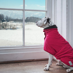 Dog drying coat Raspberry and Dark Chocolate