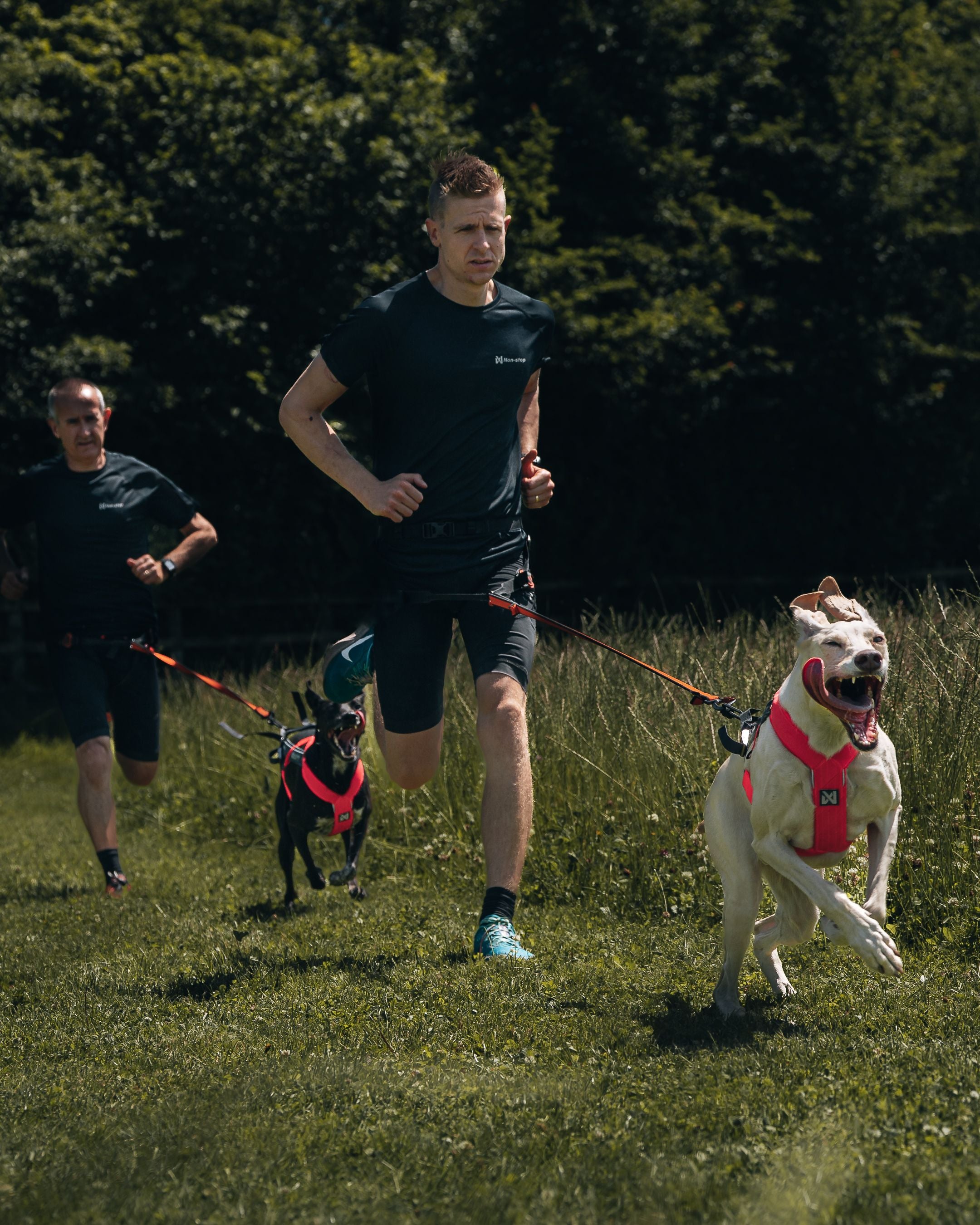 Non Stop Freemotion 5.0 roze-grijs