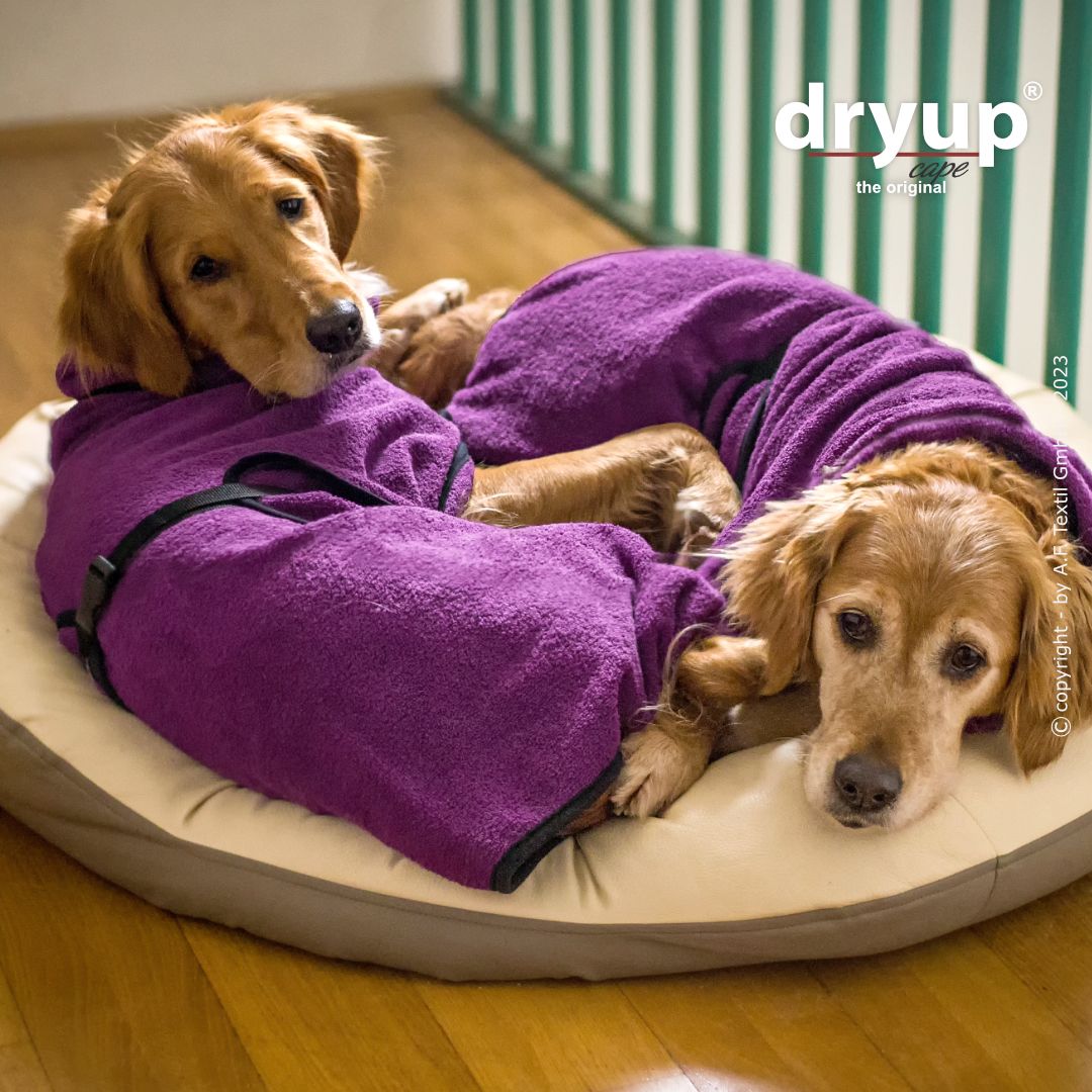 Dryup cape - Bilberry paars