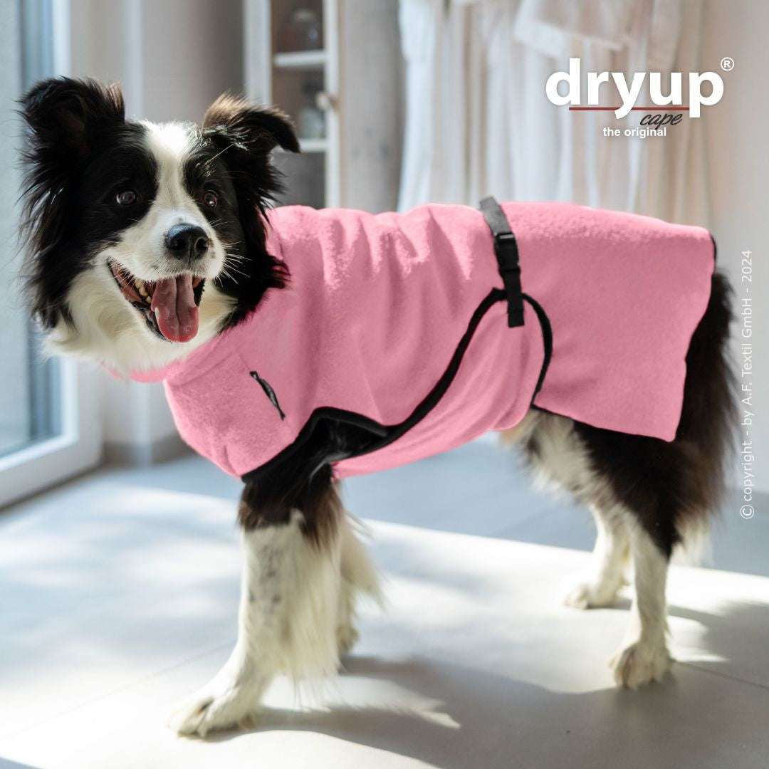 Dryup cape - Rosé