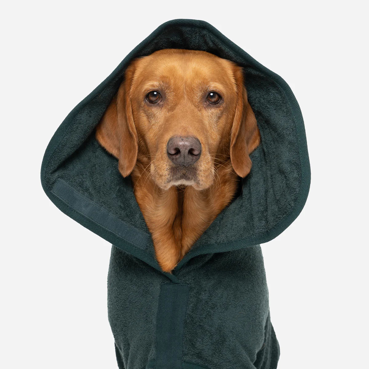 Dog drying coat Forest green