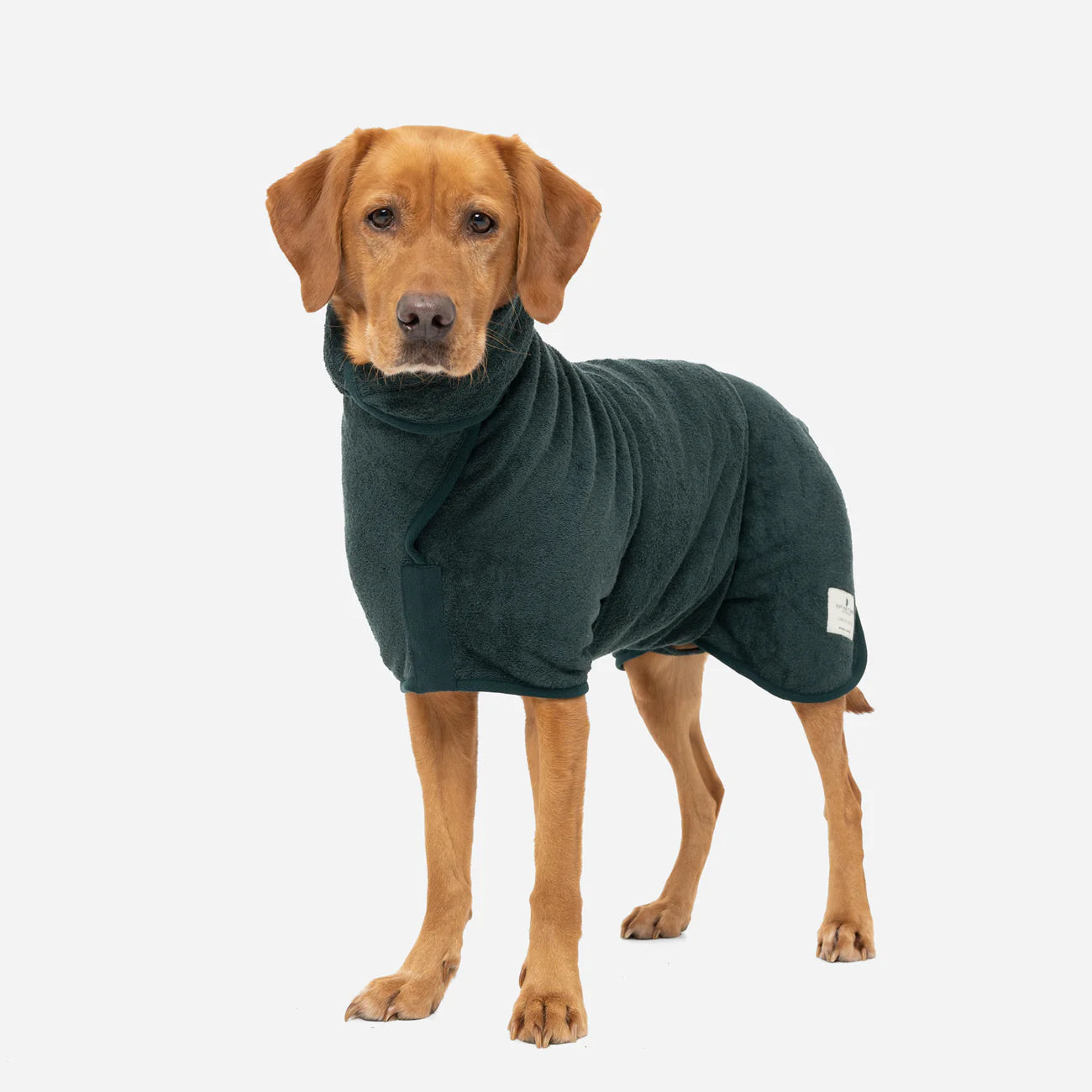 Dog drying coat Forest green
