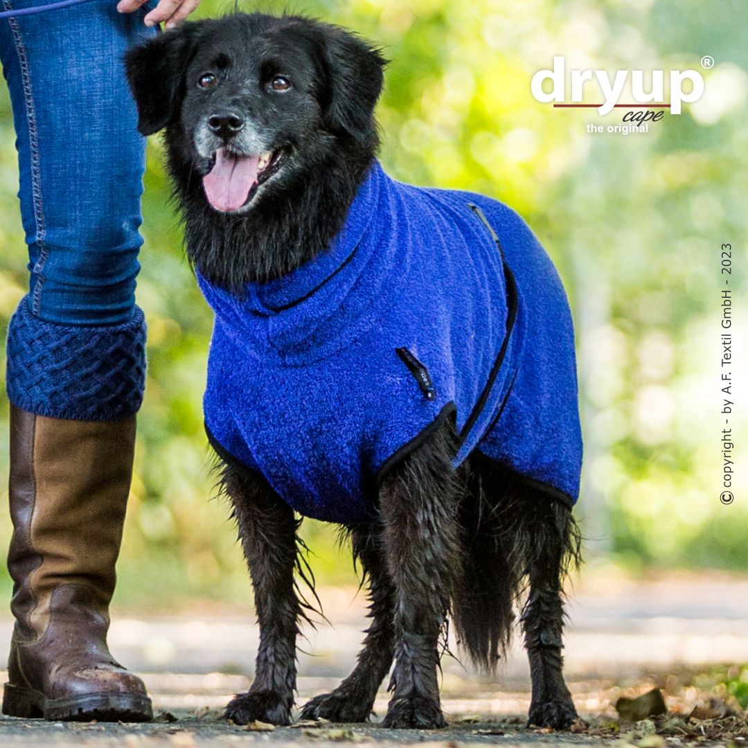 Dryup cape - Blueberry