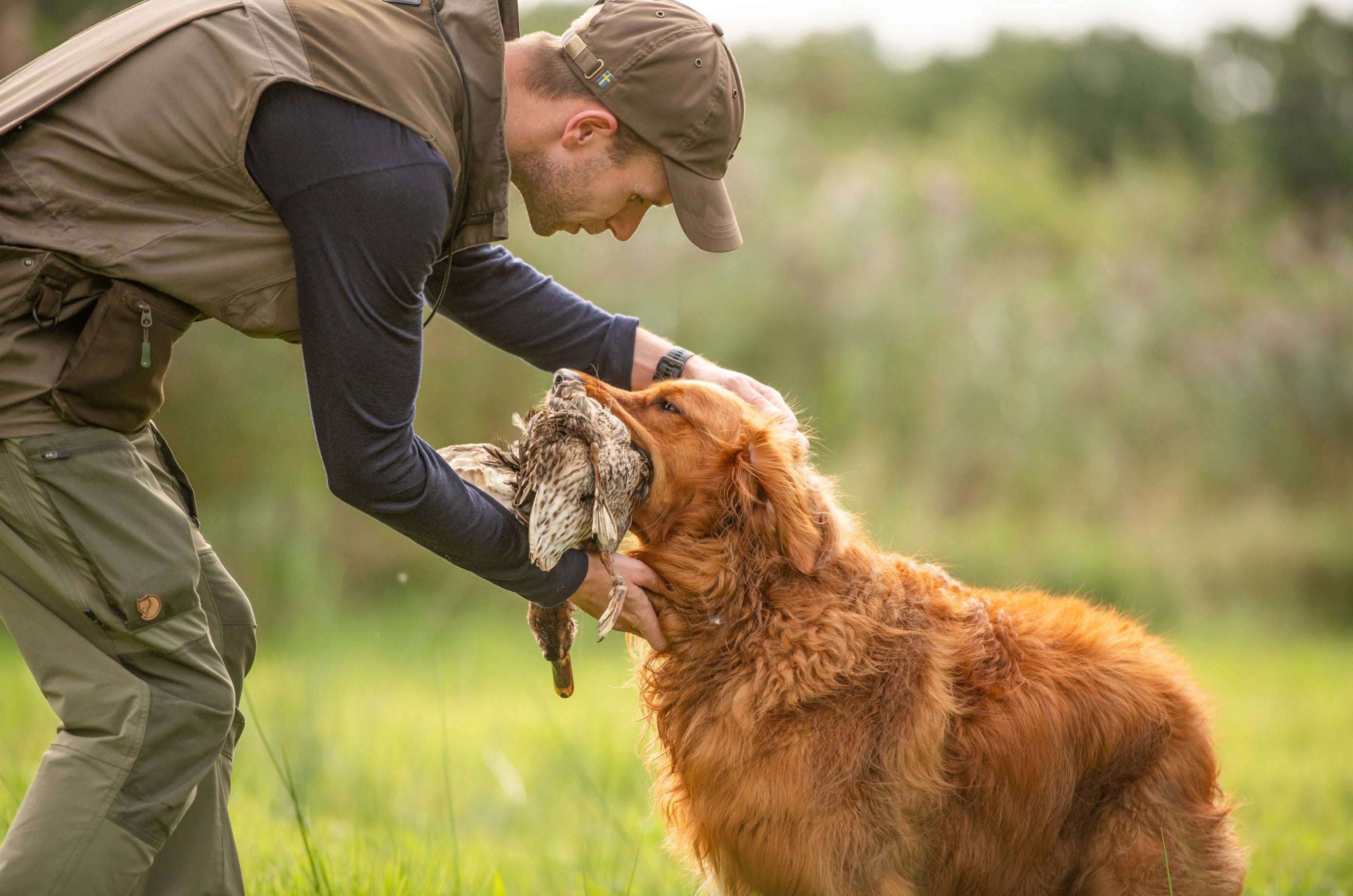 All4Gundogs